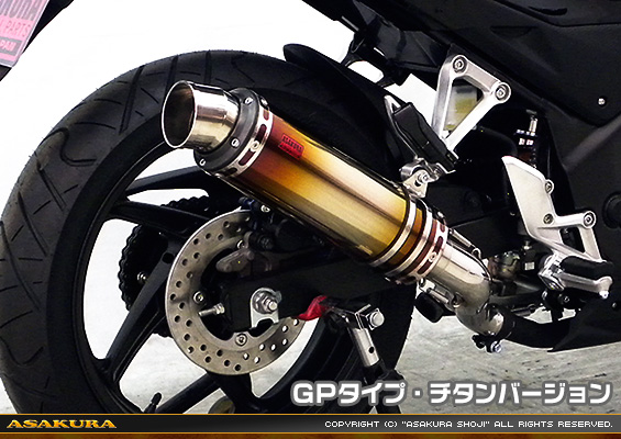CB250F【'14〜】用 TTRタイプマフラー GPタイプ チタンバージョン