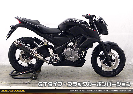 CB250F【'14〜】用 TTRタイプマフラー GTタイプ ブラックカーボンバージョン