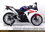 CBR250R【JBK-MC41】用 TTRタイプマフラー GPタイプ ブラックカーボンバージョン