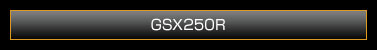 GSX250R