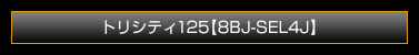 トリシティ125【8BJ-SEL4J】