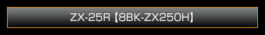 ZX-25R【8BK-ZX250H】