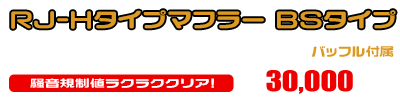 エイプ100用 RJ-Hタイプマフラー BSタイプ ￥30,000（税込）