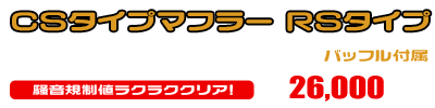 エイプ50（インジェクション仕様車）用 CSタイプマフラー RSタイプ ￥26,000（税込）