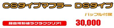 PGM-FI リトルカブ・PGM-FI カブ50用 CSタイプマフラー DSタイプ ￥30,000（税込）