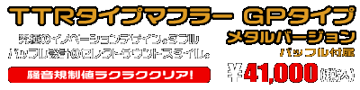 Ninja250【2BK-EX250P】用 TTRタイプマフラー GPタイプ メタルバージョン ￥41,000（税込）
