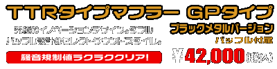 Ninja250R【JBK-EX250K】用 TTRタイプマフラー GPタイプ ブラックメタルバージョン ￥42,000（税込）