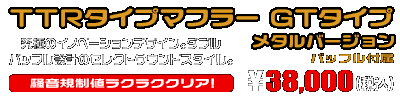 Ninja250R【JBK-EX250K】用 TTRタイプマフラー GTタイプ メタルバージョン ￥38,000（税込）