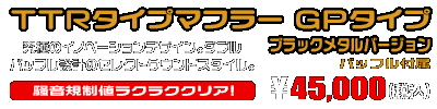 Ninja400【2BL-EX400G】用 TTRタイプマフラー GPタイプ ブラックメタルバージョン ￥45,000（税込）
