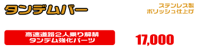 TMAX【 SJ02J・SJ04J 】用 タンデムバー ￥17,000（税込）