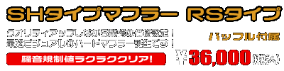トリシティ125【8BJ-SEL4J】用 SHタイプマフラー RSタイプ ￥36,000（税込）