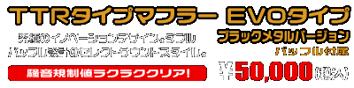 ZX-25R【8BK-ZX250H】用 TTRタイプマフラー EVOタイプ ブラックメタルバージョン