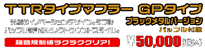 ZX-25R【8BK-ZX250H】用 TTRタイプマフラー GPタイプ ブラックメタルバージョン