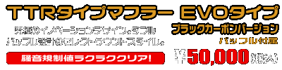ZX-4R・ZX-4RR【8BL-ZX400P】用 TTRタイプマフラー EVOタイプ ブラックカーボンバージョン