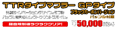 ZX-4R・ZX-4RR【8BL-ZX400P】用 TTRタイプマフラー GPタイプ ブラックカーボンバージョン