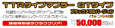 ZX-4R・ZX-4RR【8BL-ZX400P】用 TTRタイプマフラー GTタイプ ブラックメタルバージョン