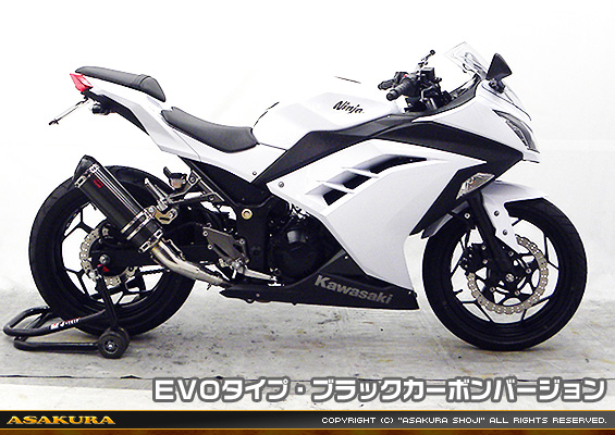 Ninja250【JBK-EX250L】／Z250【JBK-ER250C】用 TTRタイプマフラー EVOタイプ ブラックカーボンバージョン