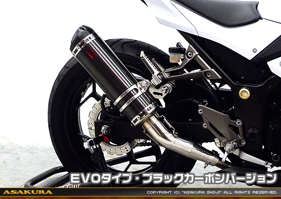 Ninja250【JBK-EX250L】／Z250【JBK-ER250C】用 TTRタイプマフラー EVOタイプ ブラックカーボンバージョン