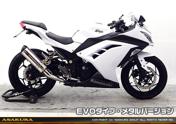 Ninja250【JBK-EX250L】／Z250【JBK-ER250C】用 TTRタイプマフラー EVOタイプ メタルバージョン