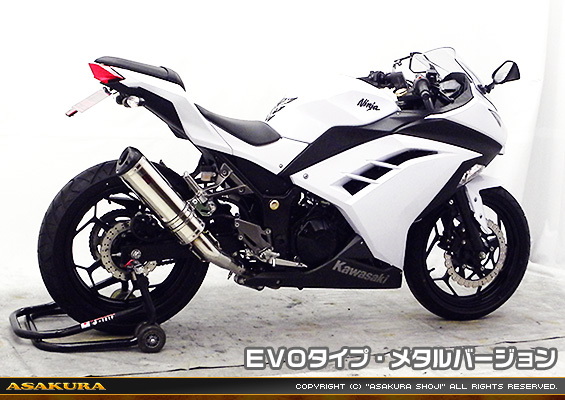 Ninja250【JBK-EX250L】／Z250【JBK-ER250C】用 TTRタイプマフラー EVOタイプ メタルバージョン