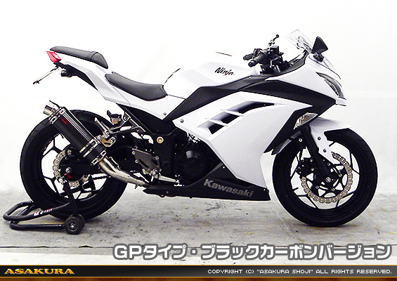 Ninja250【JBK-EX250L】／Z250【JBK-ER250C】用 TTRタイプマフラー GPタイプ ブラックカーボンバージョン