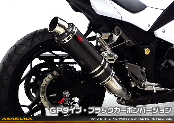 Ninja250【JBK-EX250L】／Z250【JBK-ER250C】用 TTRタイプマフラー GPタイプ ブラックカーボンバージョン