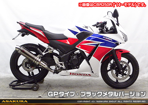 Ninja250【JBK-EX250L】／Z250【JBK-ER250C】用 TTRタイプマフラー GPタイプ ブラックメタルバージョン