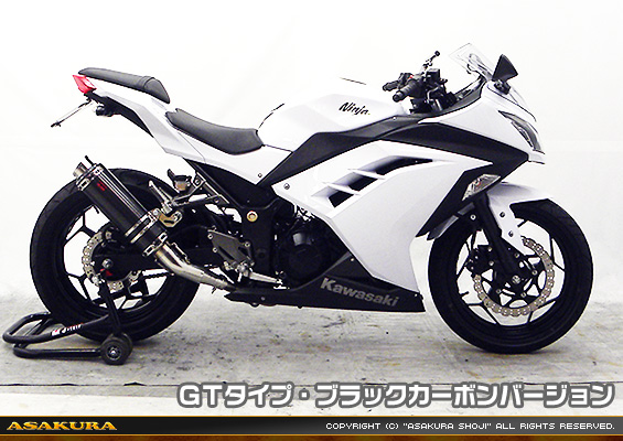 Ninja250【JBK-EX250L】／Z250【JBK-ER250C】用 TTRタイプマフラー GTタイプ ブラックカーボンバージョン
