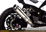 Ninja250【JBK-EX250L】／Z250【JBK-ER250C】用 TTRタイプマフラー GTタイプ メタルバージョン