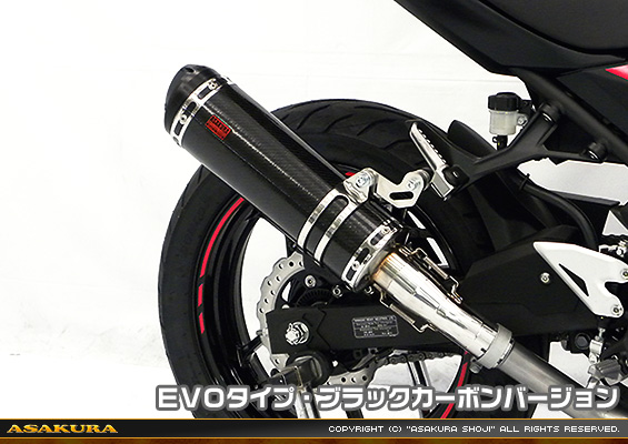 Ninja250【2BK-EX250P】用 TTRタイプマフラー EVOタイプ ブラックカーボンバージョン