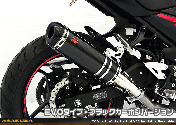 Ninja250【2BK-EX250P】用 TTRタイプマフラー EVOタイプ ブラックカーボンバージョン