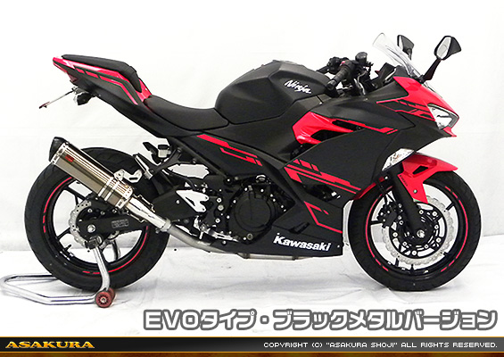 Ninja250【2BK-EX250P】用 TTRタイプマフラー EVOタイプ ブラックメタルバージョン