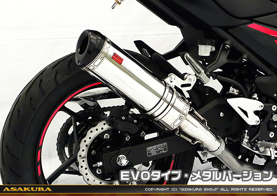 Ninja250【2BK-EX250P】用 TTRタイプマフラー EVOタイプ メタルバージョン