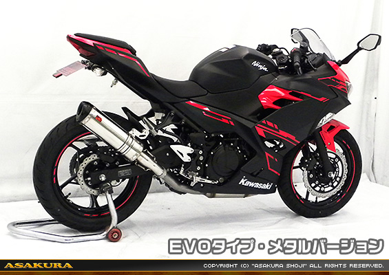 Ninja250【2BK-EX250P】用 TTRタイプマフラー EVOタイプ メタルバージョン