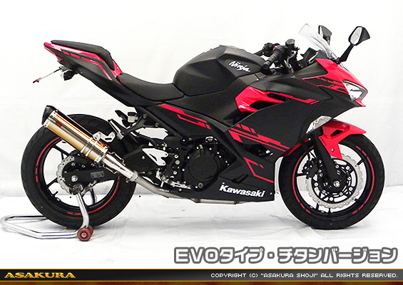 Ninja250【2BK-EX250P】用 TTRタイプマフラー EVOタイプ チタンバージョン
