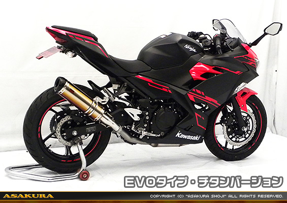 Ninja250【2BK-EX250P】用 TTRタイプマフラー EVOタイプ チタンバージョン