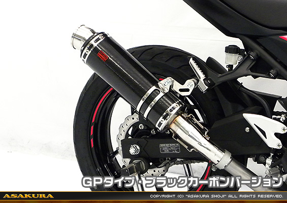 Ninja250【2BK-EX250P】用 TTRタイプマフラー GPタイプ ブラックカーボンバージョン