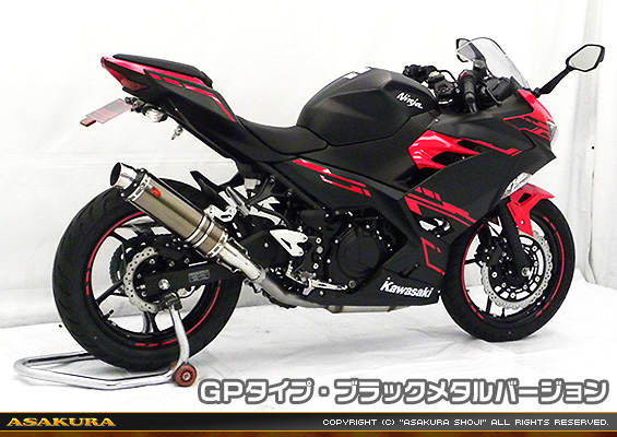 Ninja250【2BK-EX250P】用 TTRタイプマフラー GPタイプ ブラックメタルバージョン