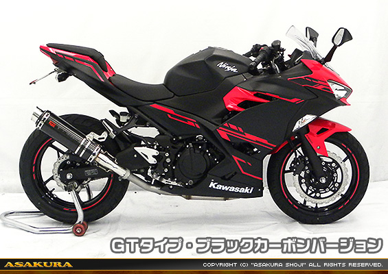 Ninja250【2BK-EX250P】用 TTRタイプマフラー GTタイプ ブラックカーボンバージョン