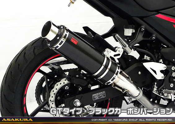Ninja250【2BK-EX250P】用 TTRタイプマフラー GTタイプ ブラックカーボンバージョン