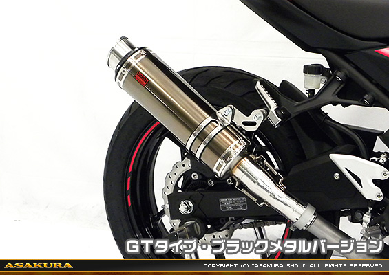 Ninja250【2BK-EX250P】用 TTRタイプマフラー GTタイプ ブラックメタルバージョン
