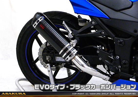 Ninja250R【JBK-EX250K】用 TTRタイプマフラー EVOタイプ ブラックカーボンバージョン