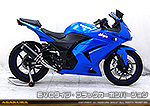 Ninja250R【JBK-EX250K】用 TTRタイプマフラー EVOタイプ ブラックカーボンバージョン