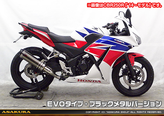 Ninja250R【JBK-EX250K】用 TTRタイプマフラー EVOタイプ ブラックメタルバージョン
