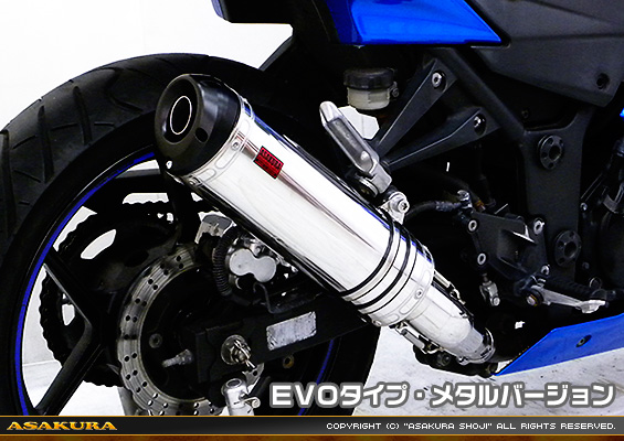 Ninja250R【JBK-EX250K】用 TTRタイプマフラー EVOタイプ メタルバージョン