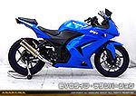 Ninja250R【JBK-EX250K】用 TTRタイプマフラー EVOタイプ チタンバージョン