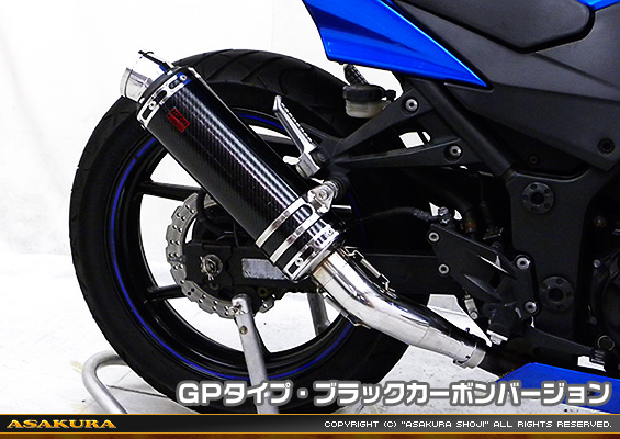 Ninja250R【JBK-EX250K】用 TTRタイプマフラー GPタイプ ブラックカーボンバージョン