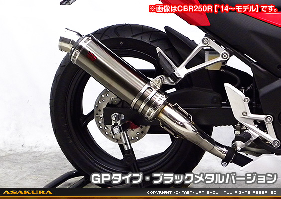 Ninja250R【JBK-EX250K】用 TTRタイプマフラー GPタイプ ブラックメタルバージョン