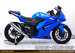 Ninja250R【JBK-EX250K】用 TTRタイプマフラー GPタイプ メタルバージョン