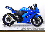 Ninja250R【JBK-EX250K】用 TTRタイプマフラー GPタイプ チタンバージョン